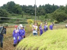 小林幸子　今年も“幸子米”収穫　新潟県中越地震から20年「新しい山古志ができてよかった」