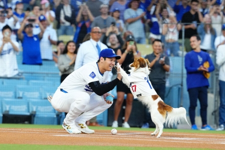 大谷翔平の経済効果は約1168億円　関大名誉教授が推定「空前絶後の金額」　