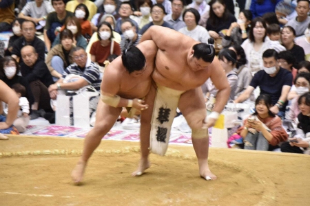 【広島市巡業】平戸海が2大関との三つどもえ稽古で奮闘し「出し切れた」照ノ富士からはアドバイス受ける