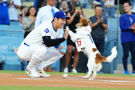 大谷翔平の愛犬デコピン　最優秀始球式で1冠　米投球分析家が表彰　球場で用足した犬は不名誉な賞を受賞