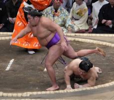 再入幕の尊富士が白星発進　ソフトバンクの山川を見て「あれと思った」