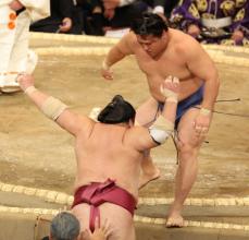 若隆景　2日続けて関脇撃破！大栄翔を一気に押し出し「下から前へ出られた」