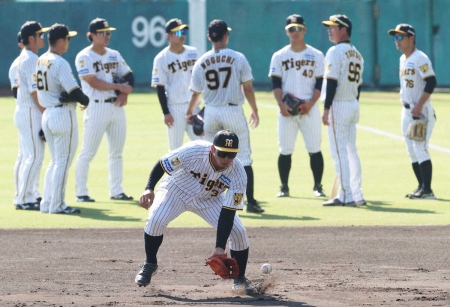 阪神・井上　“ポスト大山”狙う！　一塁特守みっちり「内外野両方できると戦い方に関わってくるので大事」