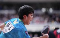 張本智和、貫禄のストレート勝ち！　韓国選手下し準決勝進出　妹・美和の無念晴らし勝利のダンス披露