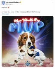 デコピンに「MVPup.」　ドジャースが授与＆祝福　大谷に負けない!ワンダフルな1年