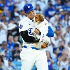 大谷翔平の愛犬「デコピン（犬）」ウィキペディアデビュー！　英語版は「Decoy　Ohtani」