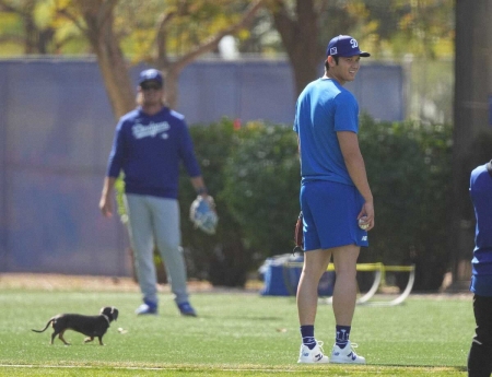 大谷翔平　自主トレ開始日に“珍客”登場で思わず笑み　投球練習中に小犬が迷い込み中断、優しくサポート