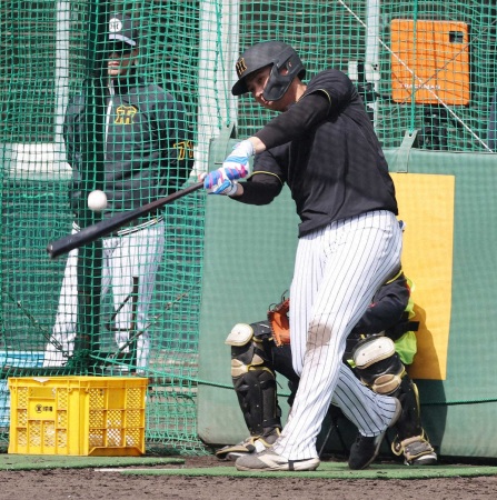 阪神・井上　「牧打法」で驚弾！フリー打撃で逆風の右中間に柵越え　甲子園の「浜風」にも勝つ！