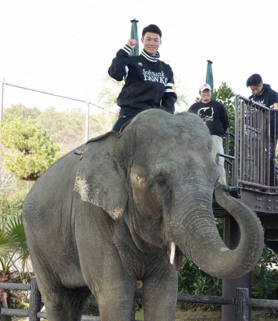 ソフトバンク大卒新人の庄子＆岩崎がキャンプ休日に動物園へ　チーター＆ナマケモノとして野生的目標掲げる