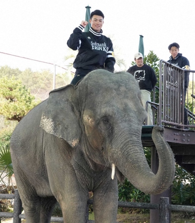 ソフトバンク“チーター庄子”が出番ゾウ「盗塁王を獲ることが目標。そのためには…」