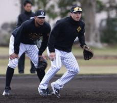 阪神・佐藤輝と新助っ人・ヘルナンデスが三塁で特守　藤川監督と藤本総合コーチも熱視線