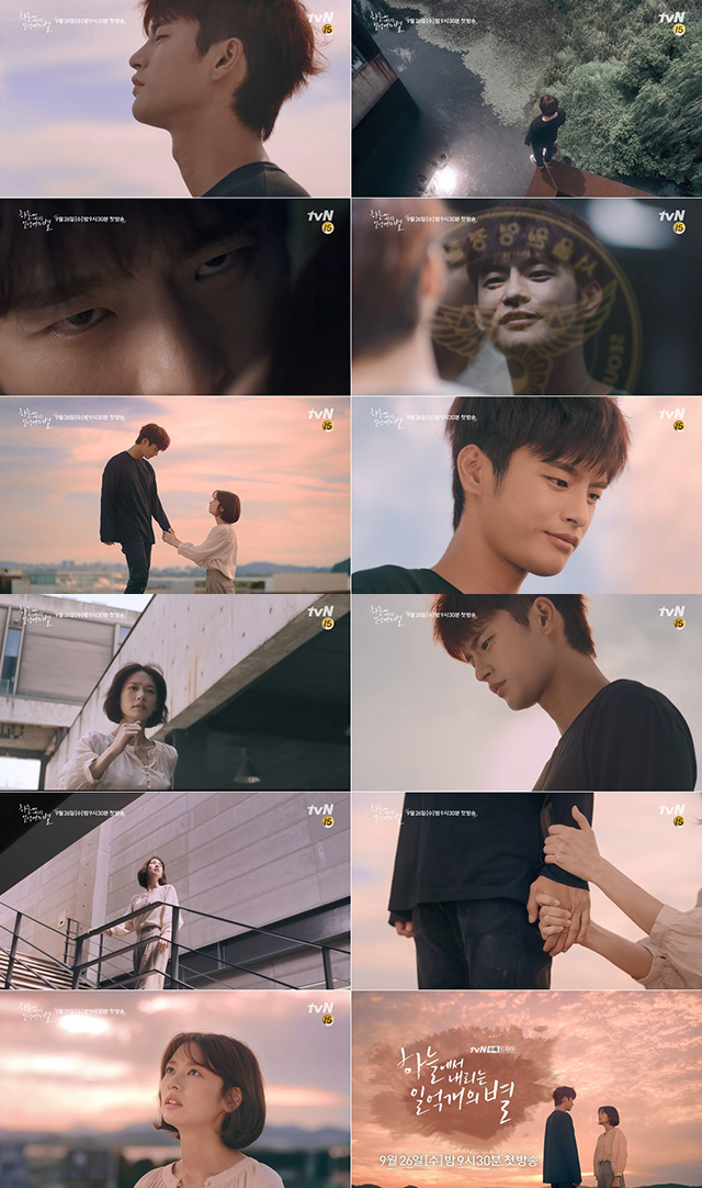 ソ イングク チョン ソミン共演 韓国版 空から降る一億の星 キャラクターティザー公開 記事詳細 Infoseekニュース