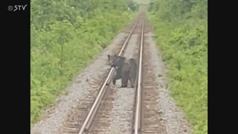 「ただ今ヒグマと並走しています」列車の前に…線路上を走るクマ　乗客も驚き動画撮影　北海道