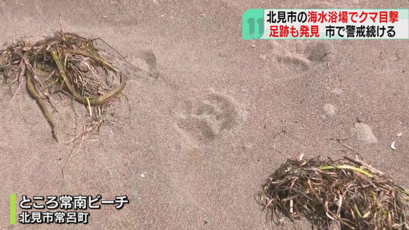 散歩中に気づいた黒い影…早朝の海岸、砂浜にクマ足跡はっきりと…海水浴場閉鎖　北海道北見市