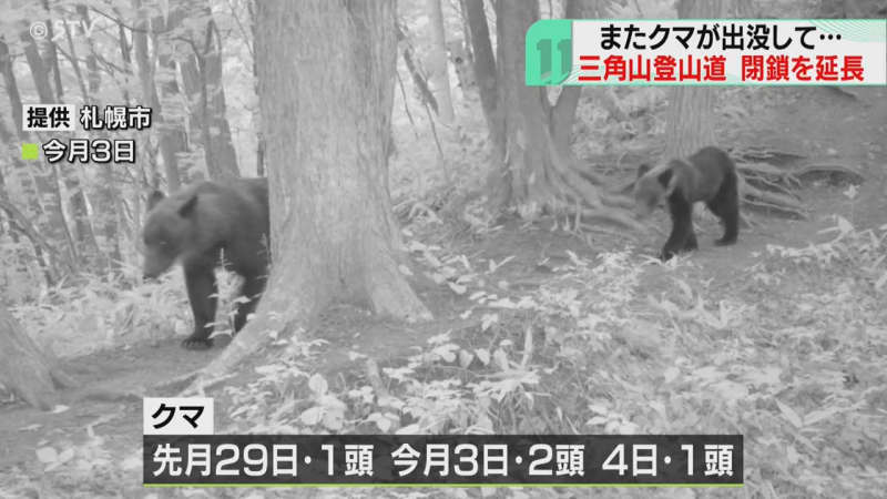 登山道閉鎖…苦渋の延長　また無人監視カメラにクマの姿はっきりと　札幌・三角山登山道