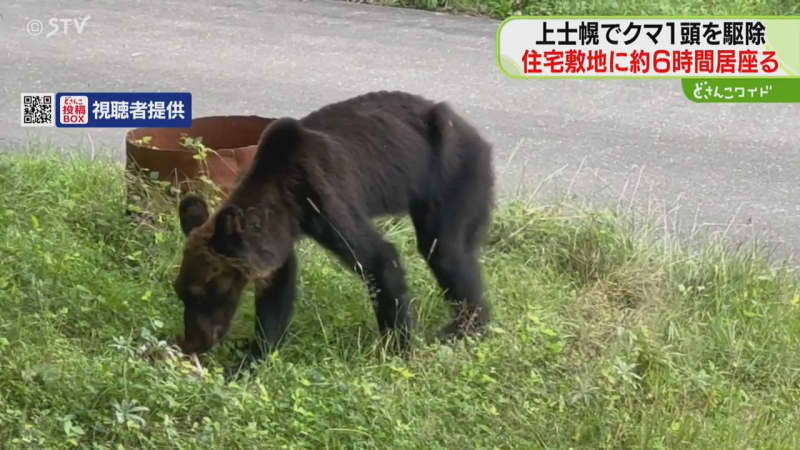 住宅周辺をウロウロ「敷地内にクマがいる」６時間居座る　ハンターが駆除　北海道・上士幌町