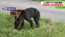 住宅周辺をウロウロ「敷地内にクマがいる」６時間居座る　ハンターが駆除　北海道・上士幌町