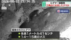 札幌・三角山でクマ１頭駆除　登山道に出没したクマか　ほかに２頭の若いクマがいる可能性も