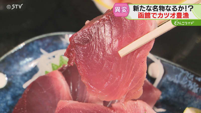 イカ減少の函館を救うか？驚きのカツオ豊漁に沸く「刺身定食」道南ではやくも人気に…でもなぜ？