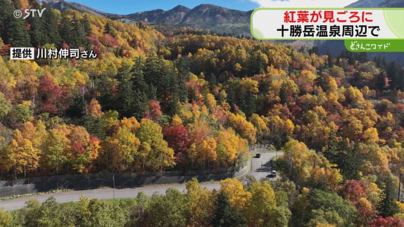 ことしは色づきがいい！上空から見る十勝岳　色鮮やかな紅葉見ごろ　北海道