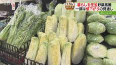 食欲の秋到来！　価格高騰続く野菜…　なかには値下がり見込みの品目も？　冬は鍋料理に期待大！