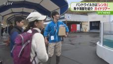 バンドウイルカは「レンカ」に決まり！　おたる水族館でイベント満載