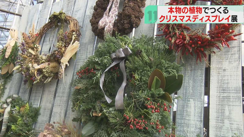 「感動しました」公園の植物を使ってクリスマスの装飾　リースやツリーなど展示　札幌市