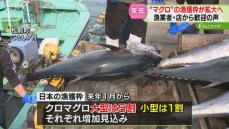 力強い赤身と中トロのあまさが最大の魅力！マグロ漁獲枠拡大で専門店や漁師の期待高まる　北海道