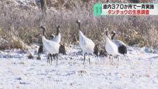 「一気に来たから大変」中学生がタンチョウの生息数を調査　鳥インフル対策が急務　北海道鶴居村