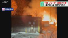 焼け跡から死んだ犬も　ブリーダー施設で火事　トイプードルなど約３０匹を飼育　北海道千歳市