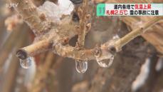 新年早々、気温上昇！　道南など３月中旬並み暖かさ　雪崩や屋根からの落雪に注意　北海道