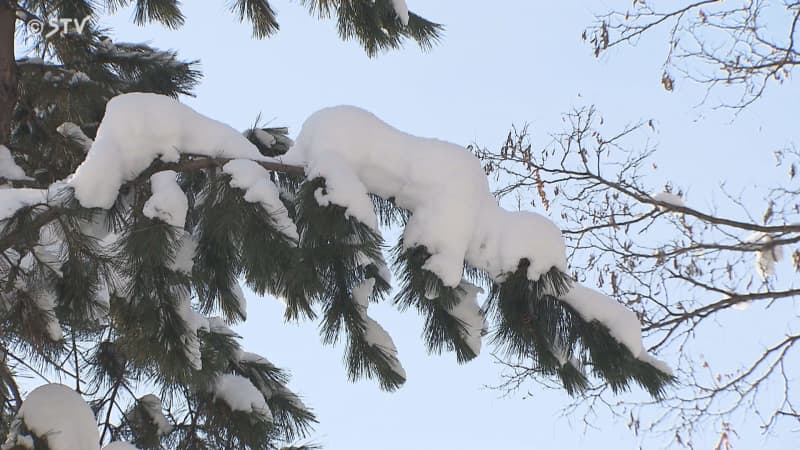 札幌の積雪が平年を超える見通し　北海道はあすにかけ大雪を予想　停電や落雪に注意