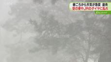 午後から急変　あっという間に視界不良　吹雪で真っ白　新千歳空港では５６便が欠航　北海道