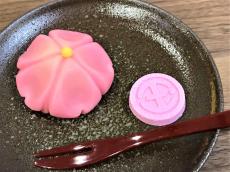 【京都】老舗「千本玉寿軒」の職人が目の前で作る！出来たての和菓子を味わえる「茶寮 ＳＥＮＴＡＭＡ」