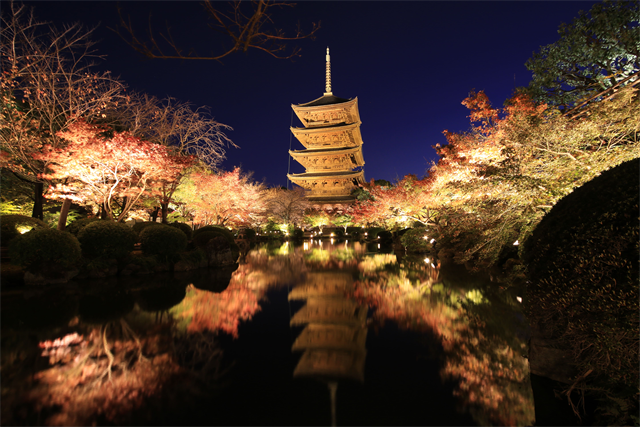 そうだ 京都、行こう。竹の灯りが京都の社寺を彩る「ひかりの京都」開催