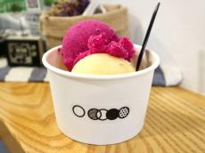 【台湾】マンゴーやドラゴンフルーツのアイスも！台北の自家製アイスクリーム店「東門彈子房 ICE」