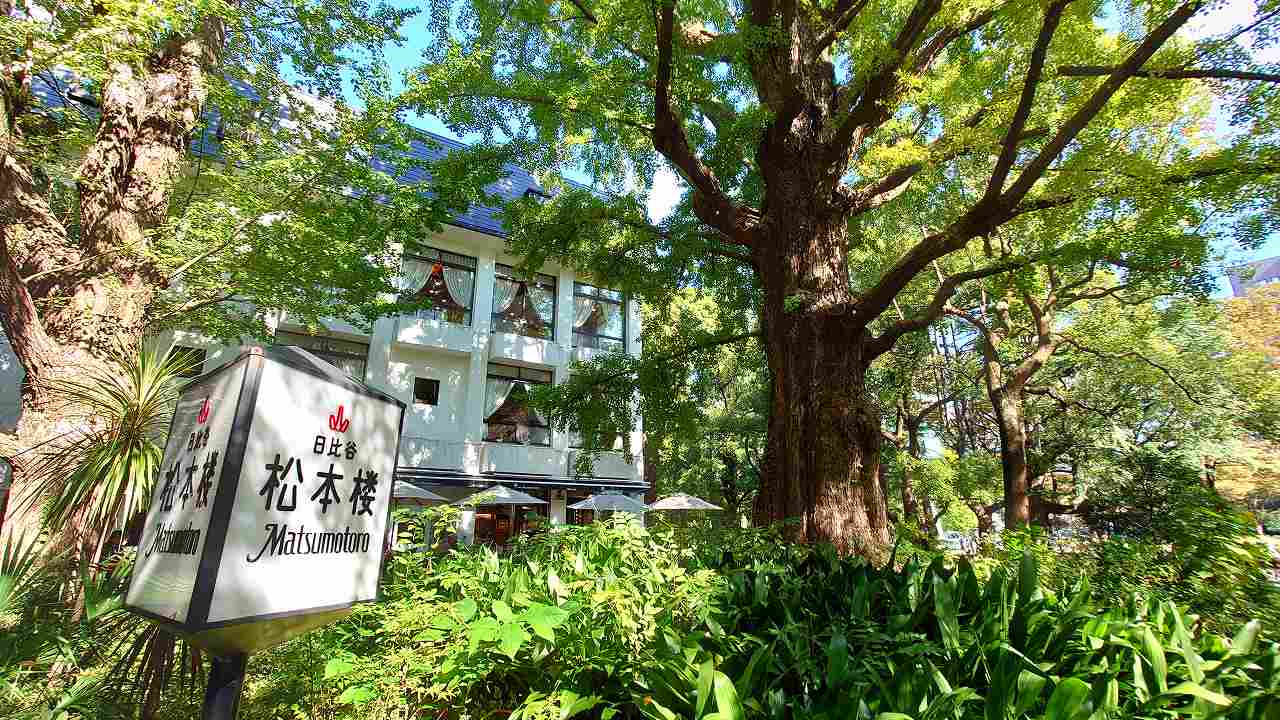 1本の木に会いに行く31日比谷公園・松本楼のテラスに佇む｢首賭けイチョウ｣＜東京＞