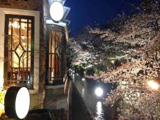 【京都】桜を眺めながらモーニング＆ランチを楽しめる！高瀬川のほとりに佇むカフェ「喫茶KANO」