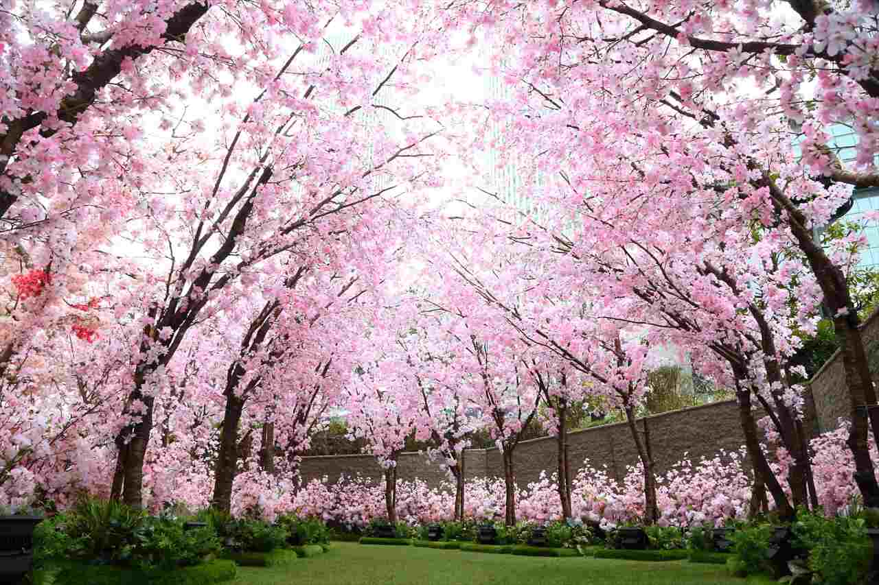 【大名古屋ビルヂング開業7周年】桜グルメ・イルミネーション・サクラスカイガーデン装飾も！