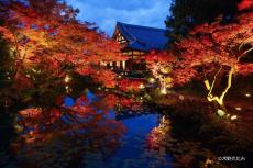 【京都】通常非公開の「くろ谷 金戒光明寺」秋の特別拝観を開催！紅葉の美しい庭園や特別展示も