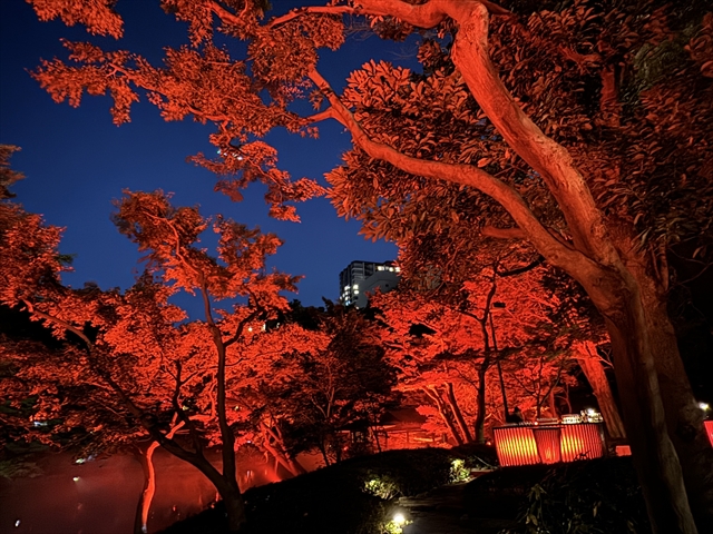 赤く染まる日本庭園で秋を満喫する！八芳園の「TOKYO RED GARDEN AUTUMN FESTIVAL 2023」現地ルポ