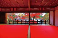 花手水で知られる京都「柳谷観音」で紅葉イベント開催！ライトアップ・上書院特別公開・限定御朱印も