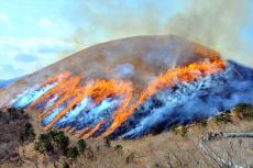 【春の風物詩「大室山 山焼大会」開催！】標高580ｍの山頂まで炎が駆けあがる｜静岡県伊東市