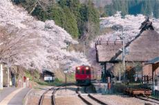 【福島県下郷町】穴場情報も！「フォトナビ下郷」に今春のおすすめ絶景＆桜の撮影スポットを公開中！