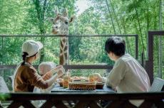 【キリンと一緒に朝ごはん！？】期間限定のオプションが再開！動物園隣接のグランピング施設「THE BAMBOO FOREST」