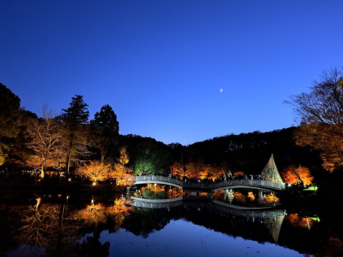 【東京・町田市で秋を感じるイベント開催】紅葉ライトアップやお祭り・マルシェまで