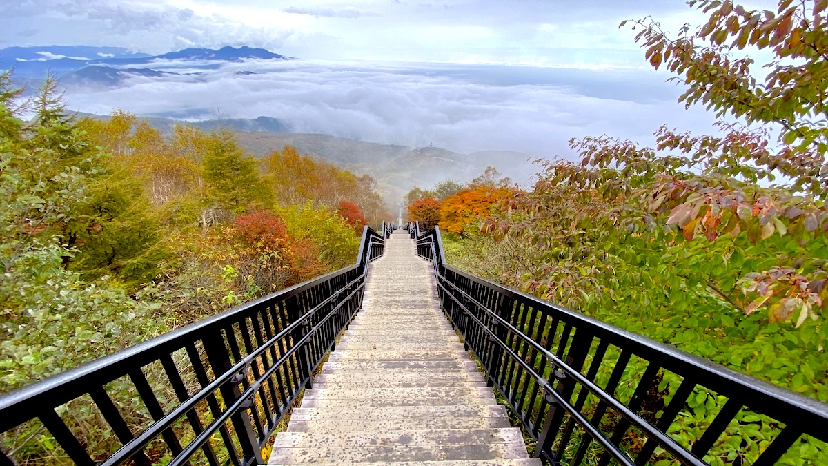 【超絶景！日光・天空回廊の紅葉と雲海】1445段の階段を登った先にある感動｜霧降高原 キスゲ平園地