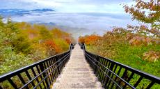 【超絶景！日光・天空回廊の紅葉と雲海】1445段の階段を登った先にある感動｜霧降高原 キスゲ平園地