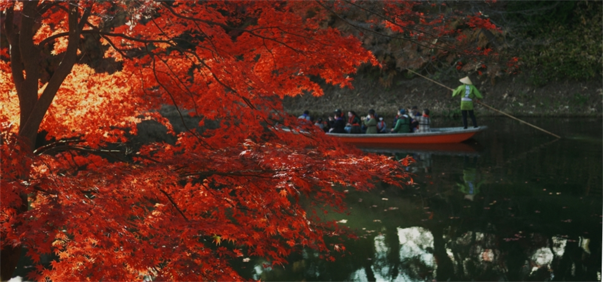 【青森県・弘前城菊と紅葉まつり】紅葉ライトアップやフラワーアート・小型ねぷたの運行も