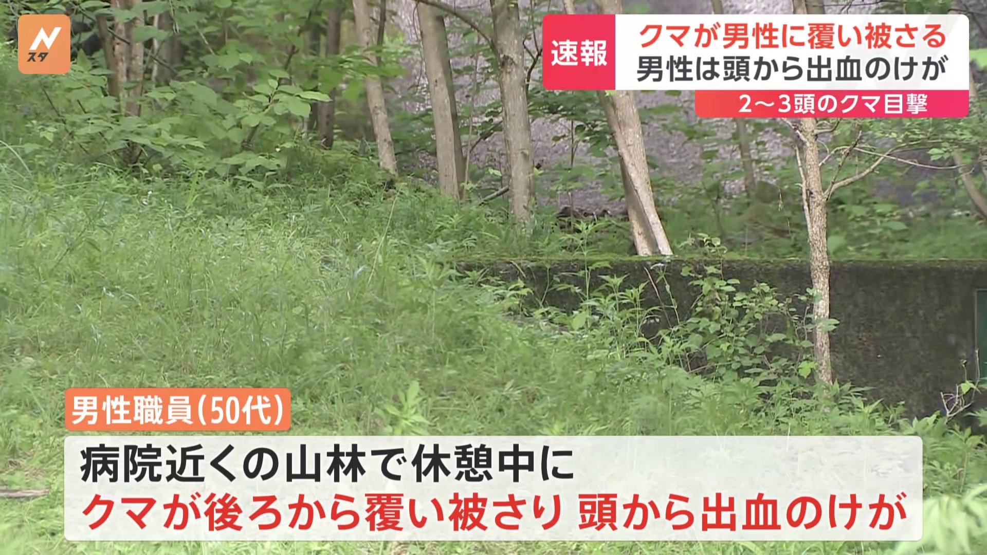 【速報】男性がクマに襲われ頭から出血　命に別状なしか　栃木・日光市の山林　2、3頭を目撃
